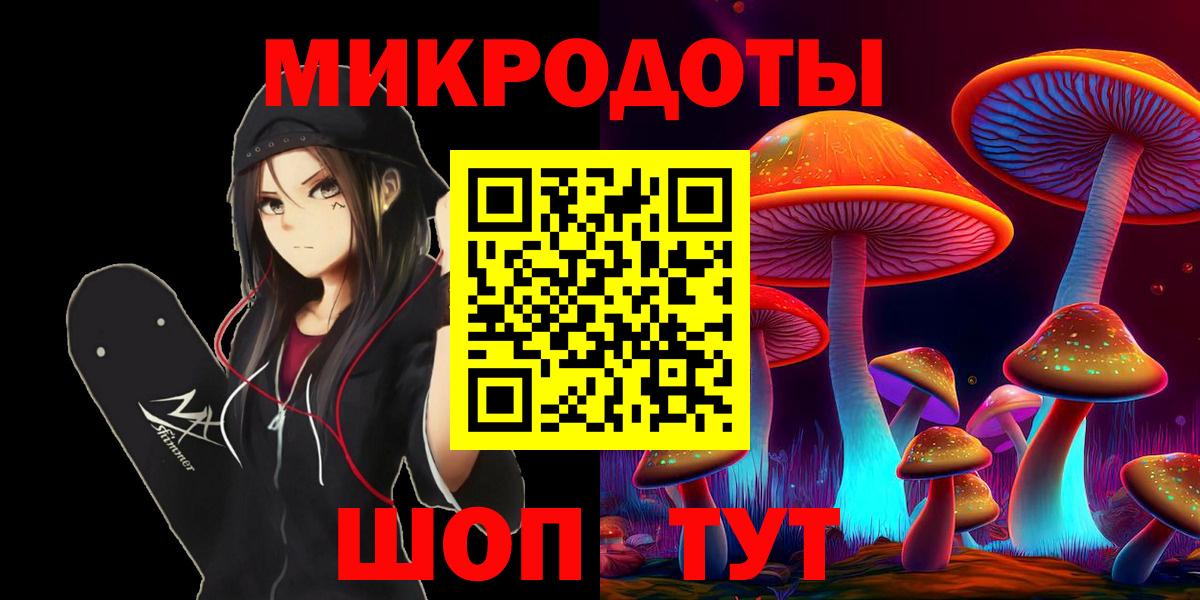 Псилоцибиновые грибы мицелий Киселёвск