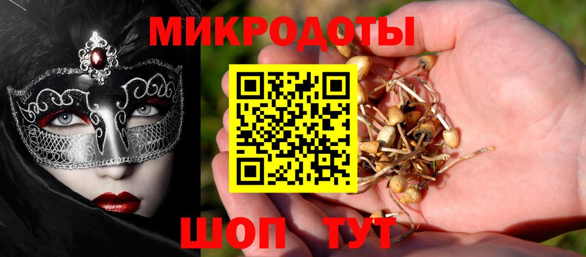 Галлюциногенные грибы MAGIC MUSHROOMS  Псилоцибиновые грибы Cubensis  Вход с VPN  хочу наркоту  Киселёвск 