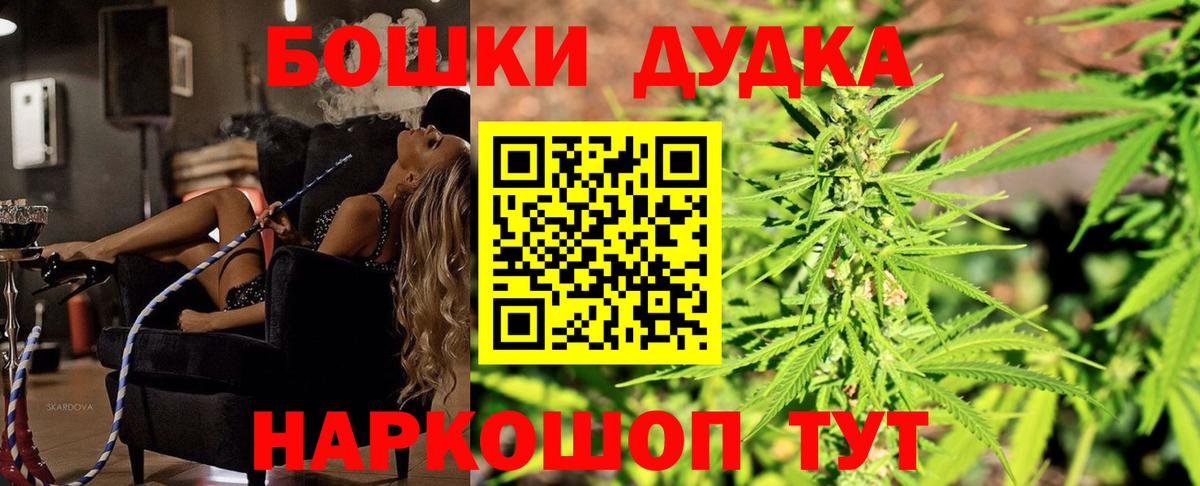 Марихуана сатива Киселёвск
